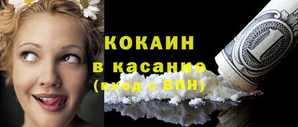 сатива Козельск