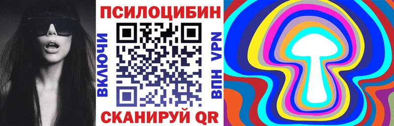 Псилоцибиновые грибы Cubensis  Купить закладки  Перевоз 